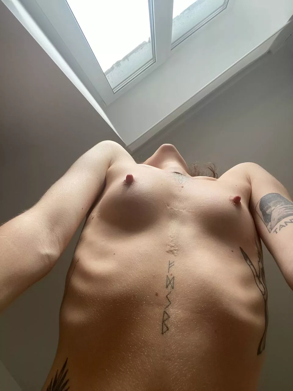 You want to bite me on my pointy nipple? posted by Farevkaoff