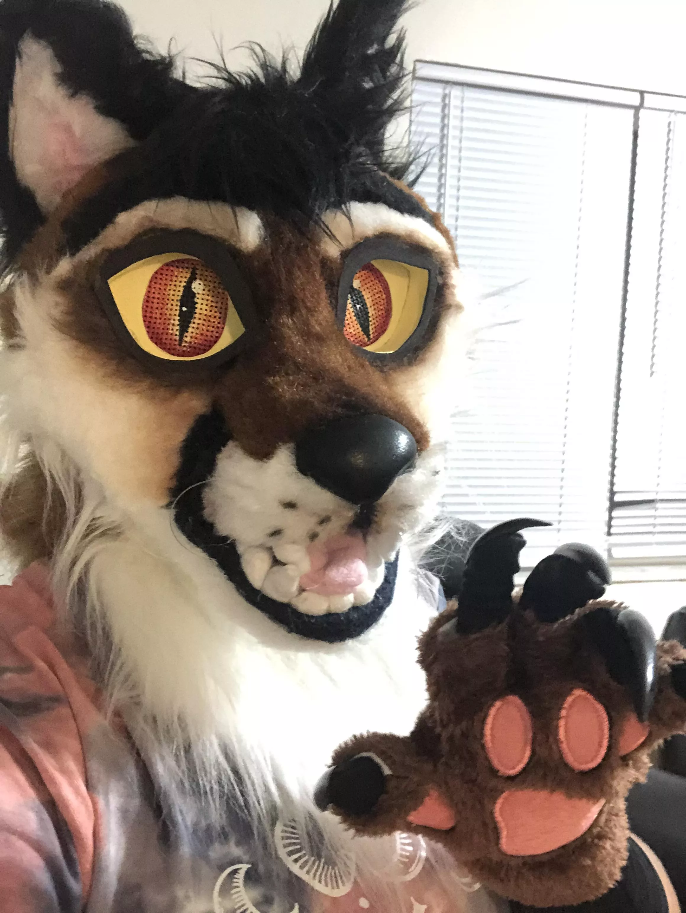 Fursuit time ™️ posted by www_Wanderlust