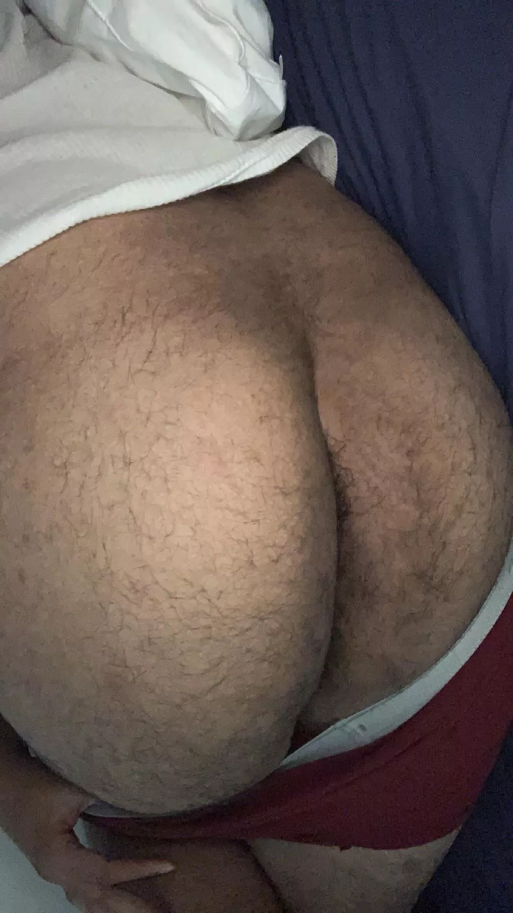 Good morning. Grab a handful of some hairy ass to start your day? posted by brians533