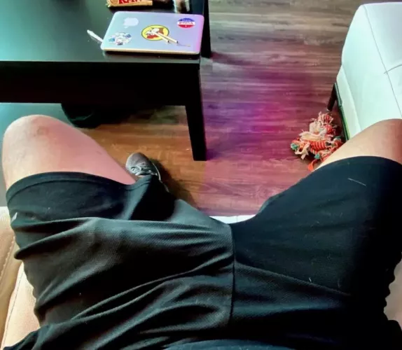 Howdy by aLargePackage