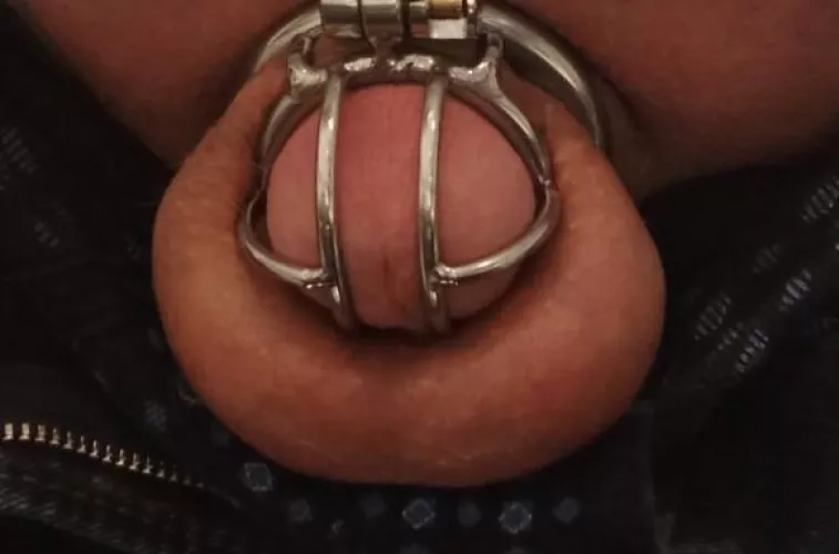 May I please change into a larger cage? by Dull-Temporary6245