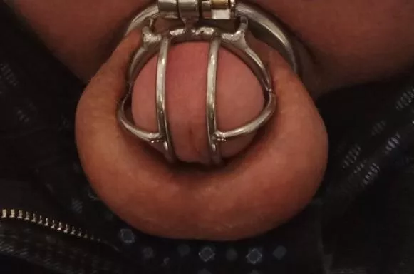 May I please change into a larger cage? posted by Dull-Temporary6245