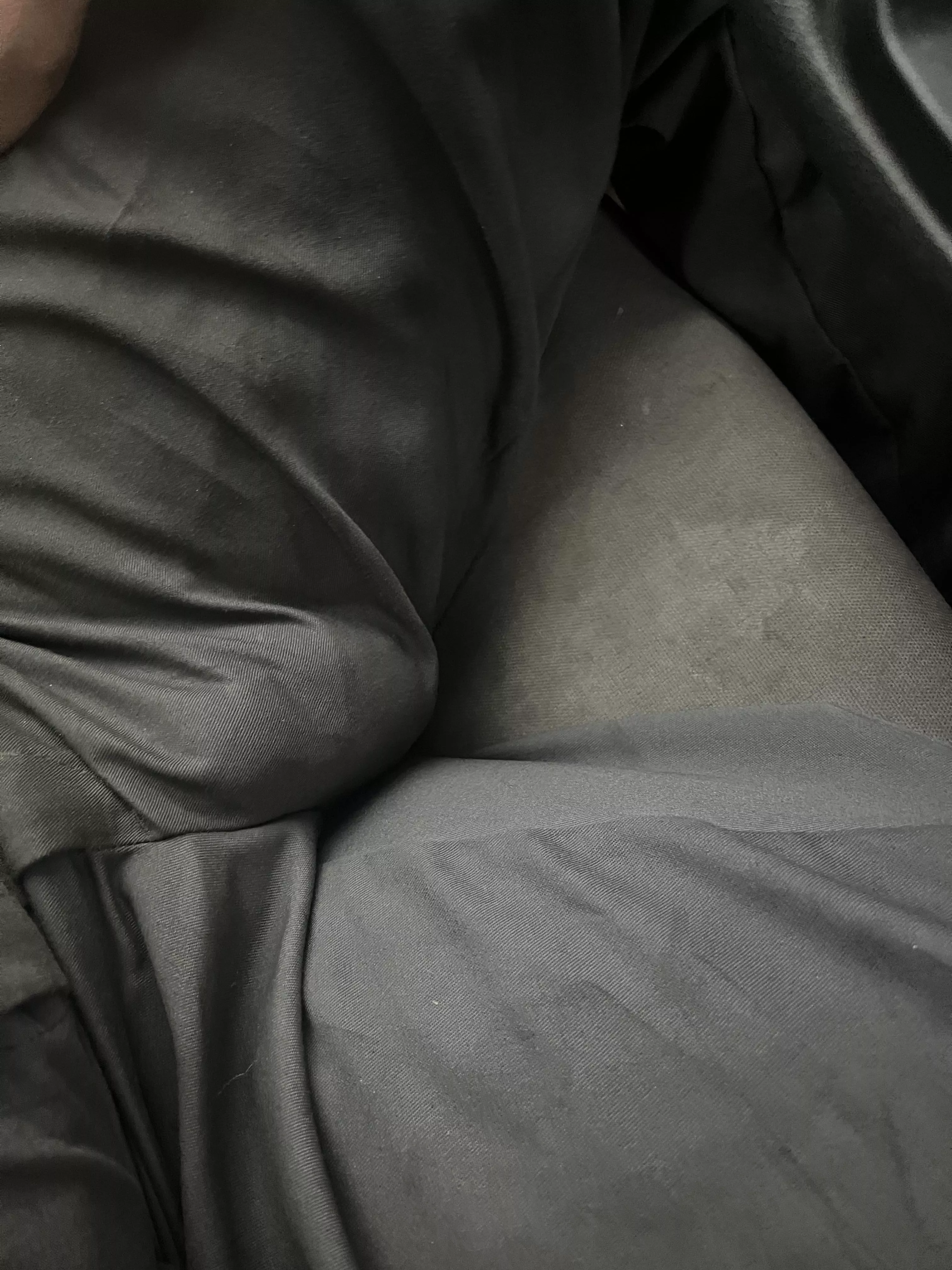 Mechanic bulge ok here? These work pants really show it all 😅 posted by Frosty-Pie-4971