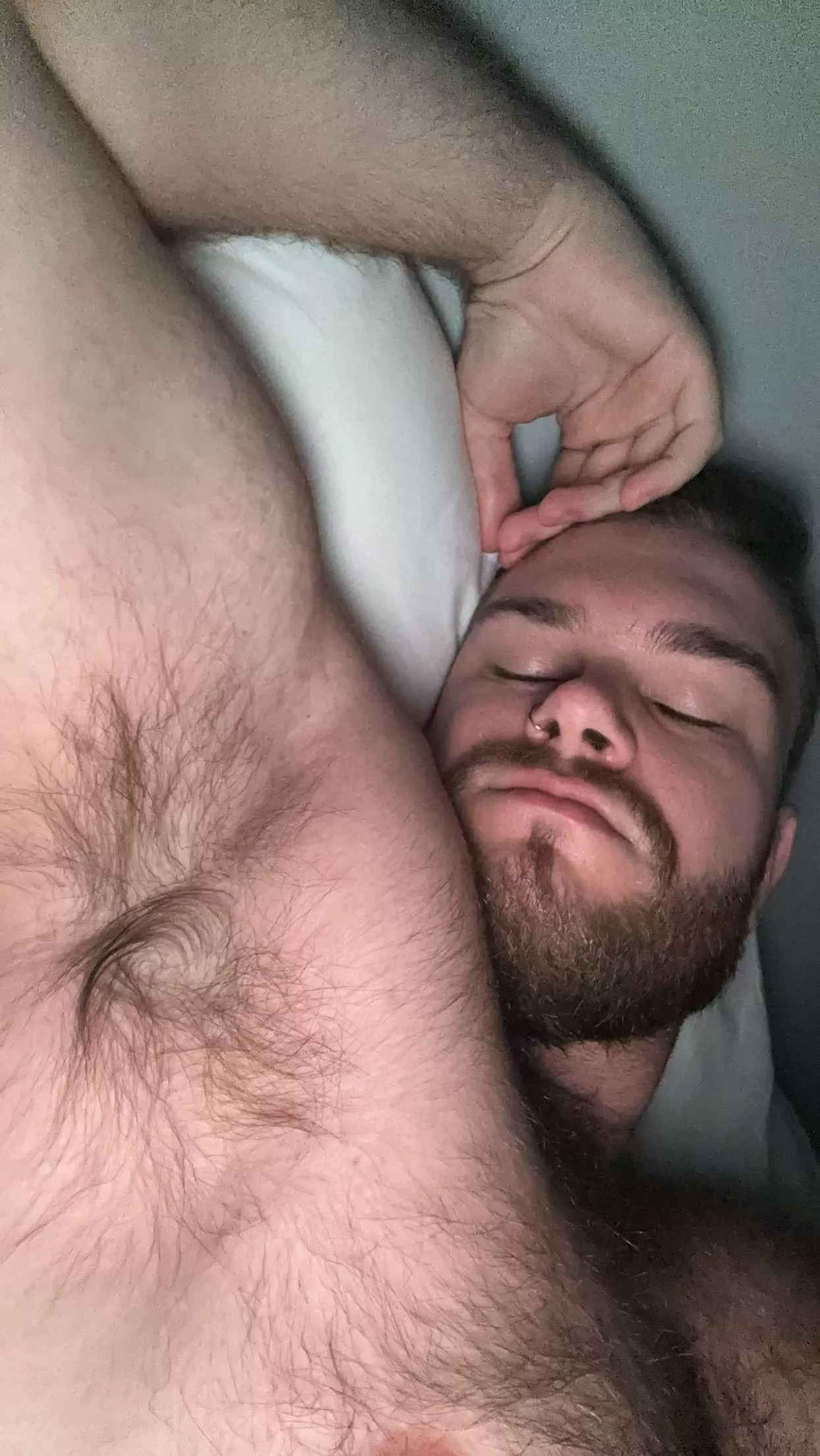 Sleepy pits posted by Tall_Organization845