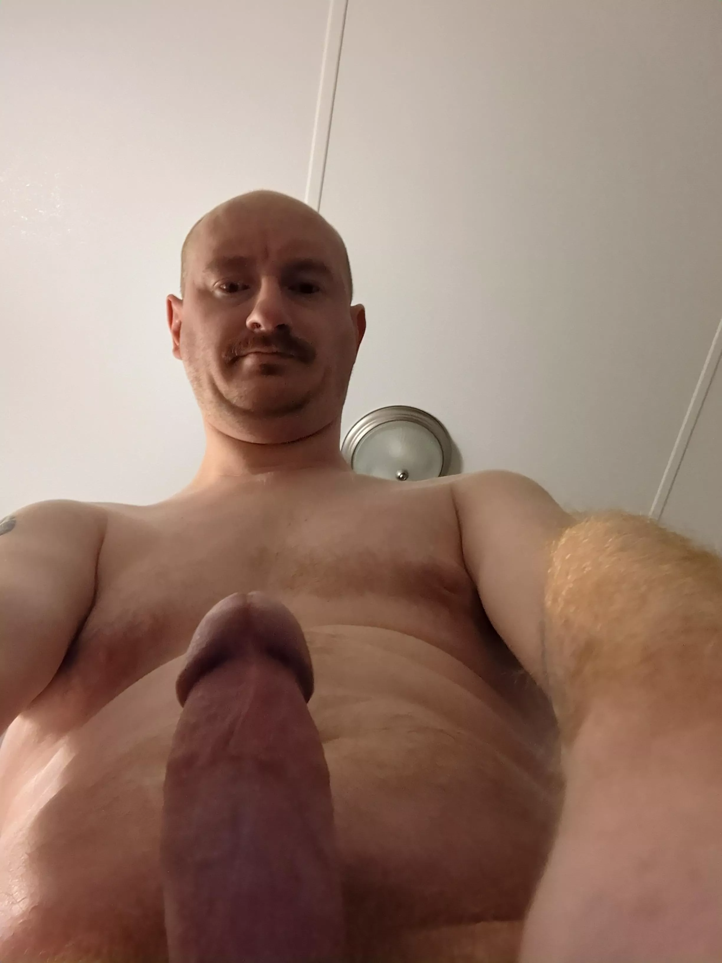 Too hard to go to work posted by Drysthawk