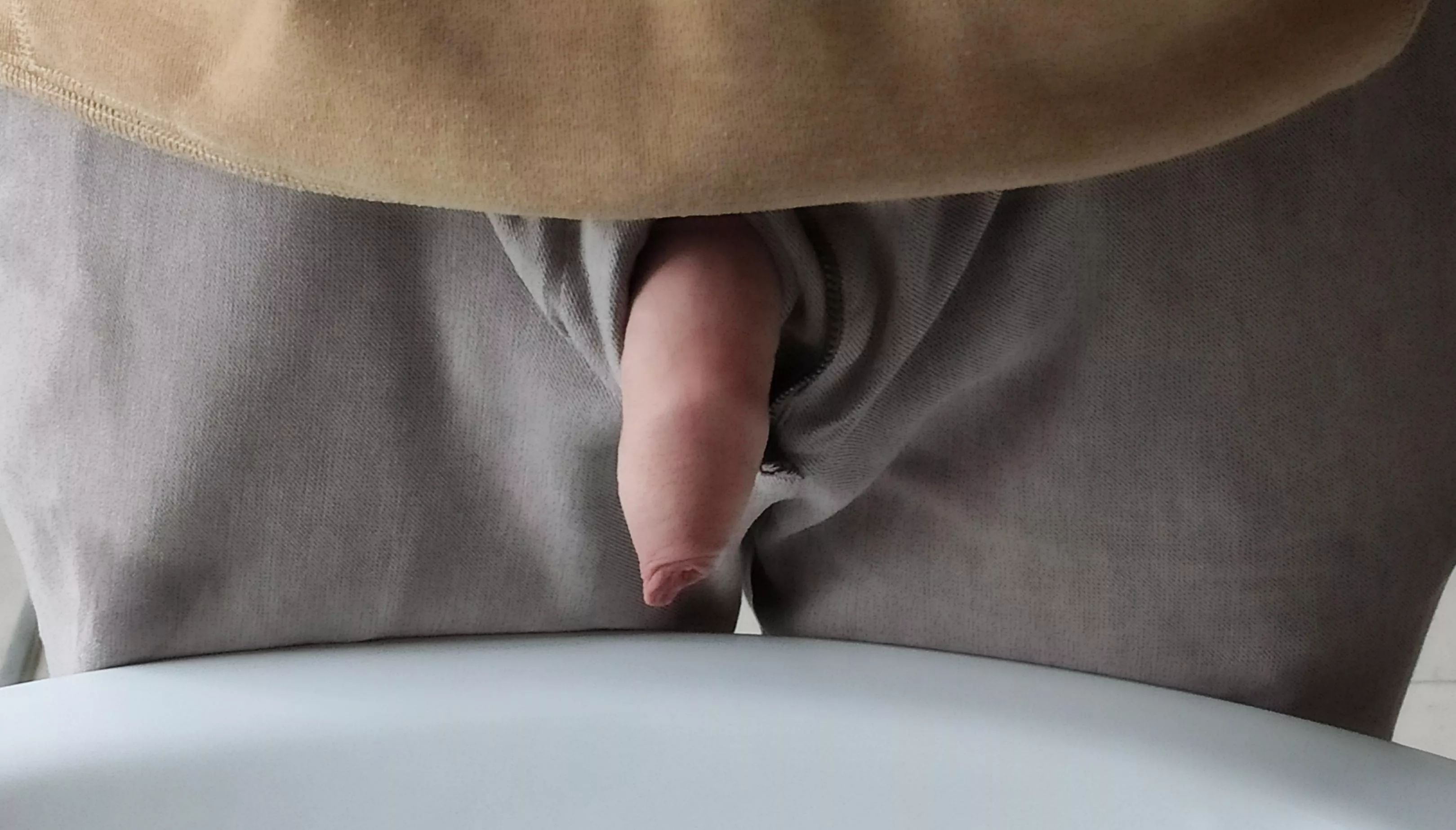 What would you do if I came to the office like this? posted by polmix23