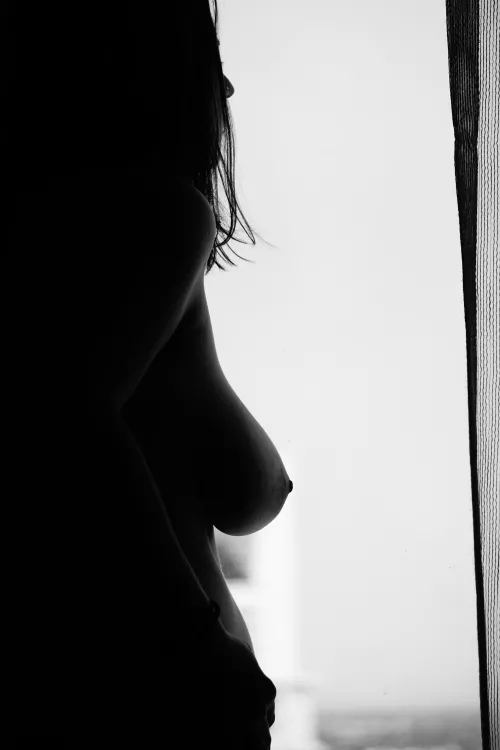 Window of the Flamingo Hotel by jupitergundy33309