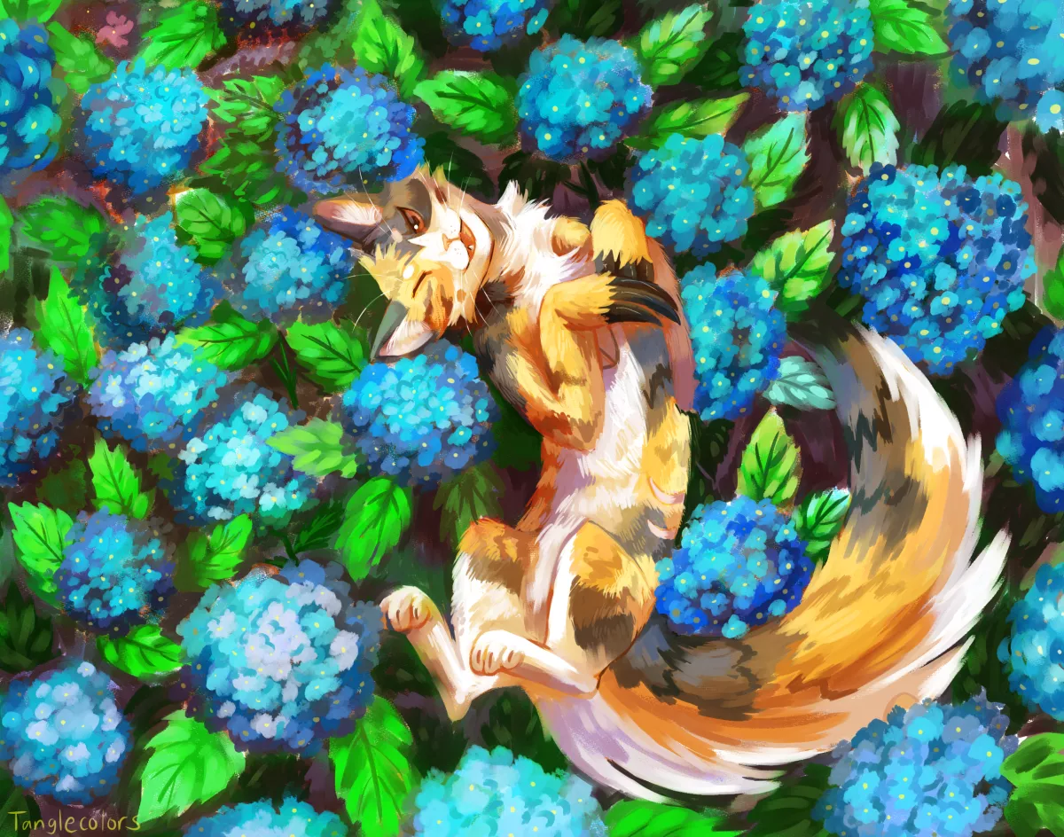 Hydrangeas (Art by me) posted by tanglecolors