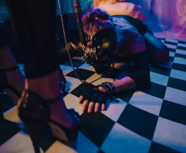 In the evening, I sometimes get the urge to play with the pet by 2SalemWitches