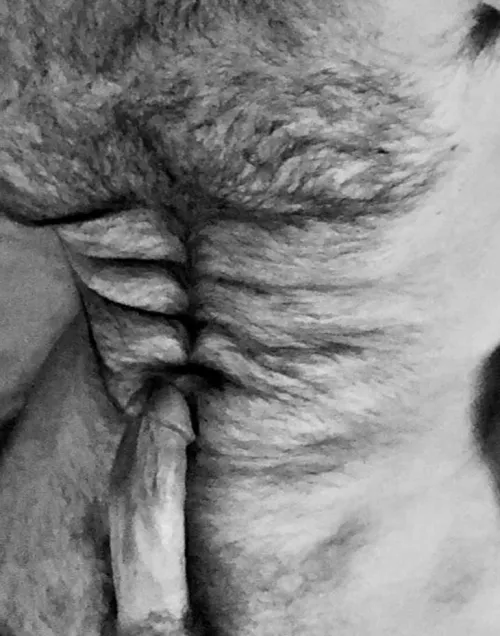 Lapping at the shore by acersacharrum97