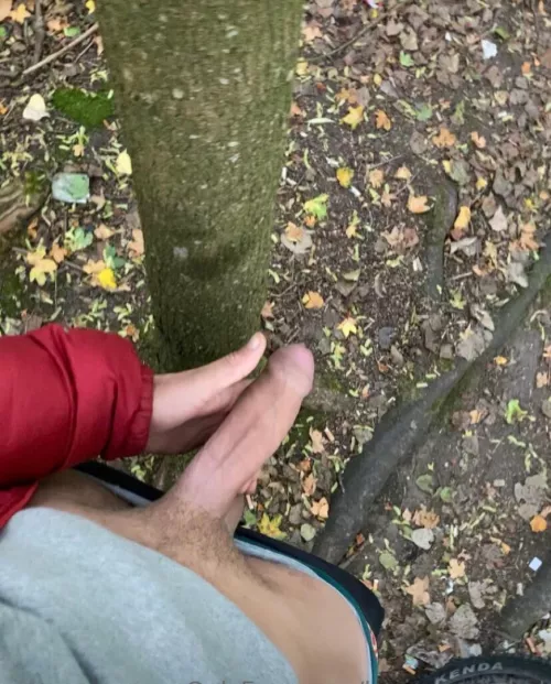 My dick by Hungladmanc