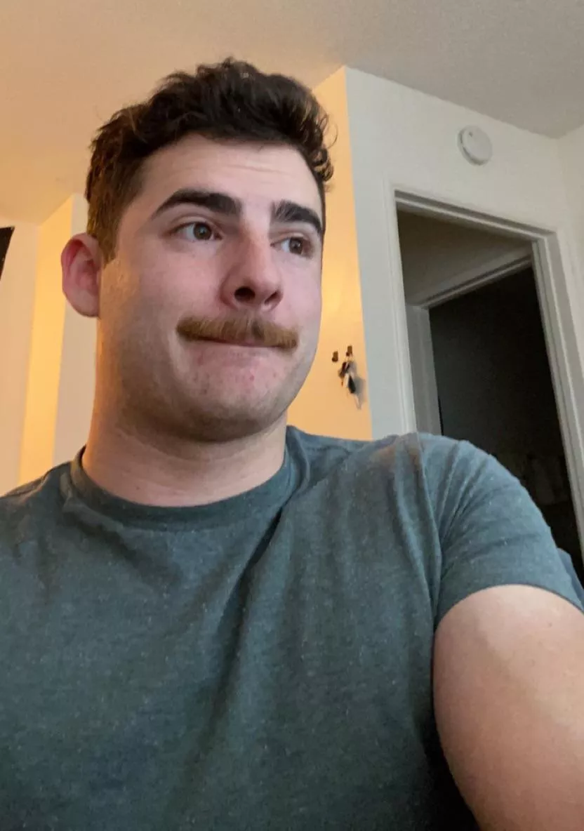 Should I bring the stache back? posted by SwissCream