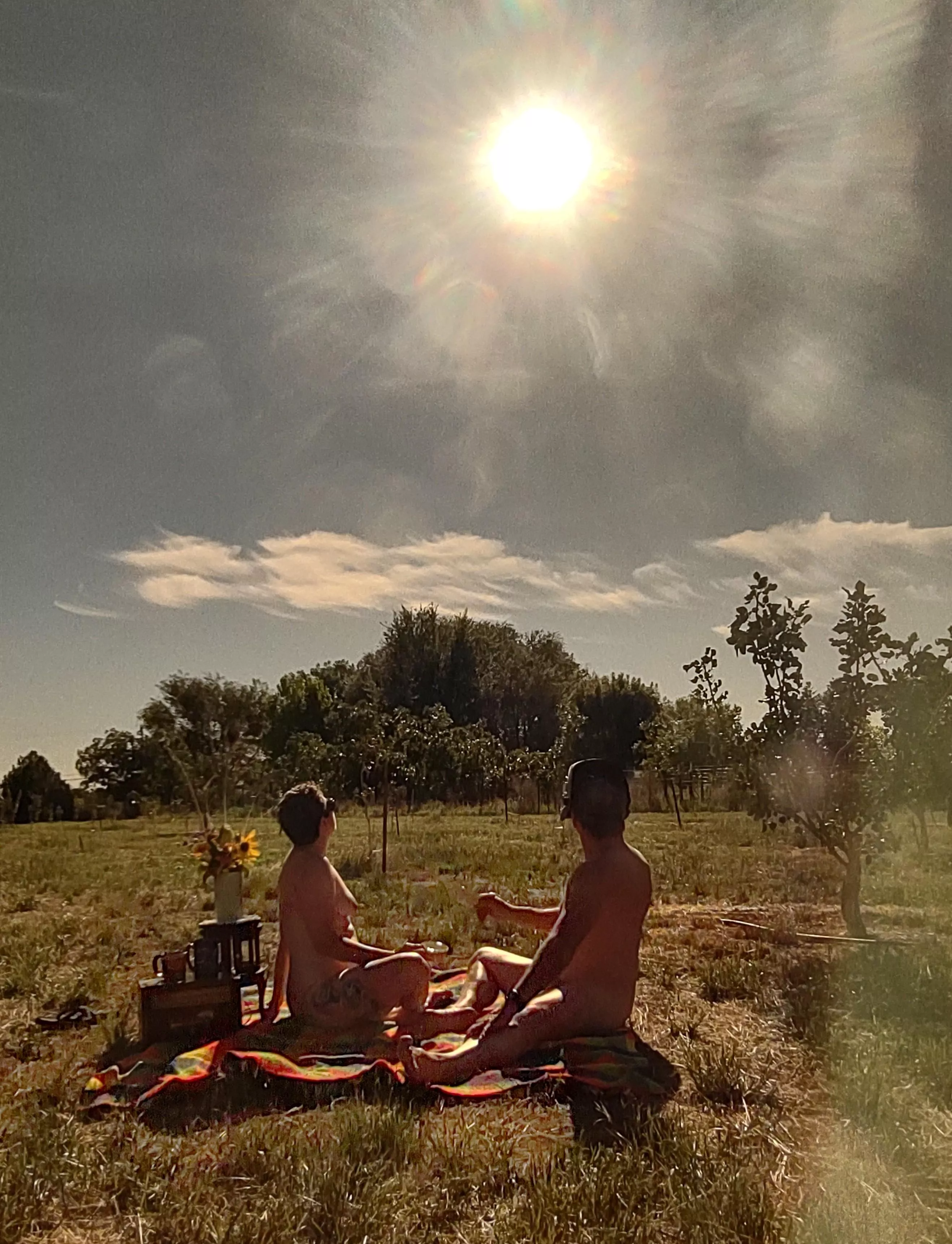 Annular solar eclipse picnic... posted by Beneficial-Radio-319