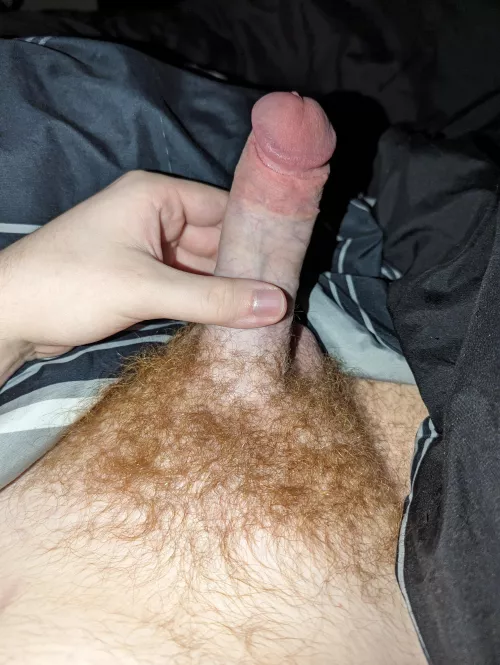 Back with another picture of my 19yo ginger cock by HomosexualGinger_