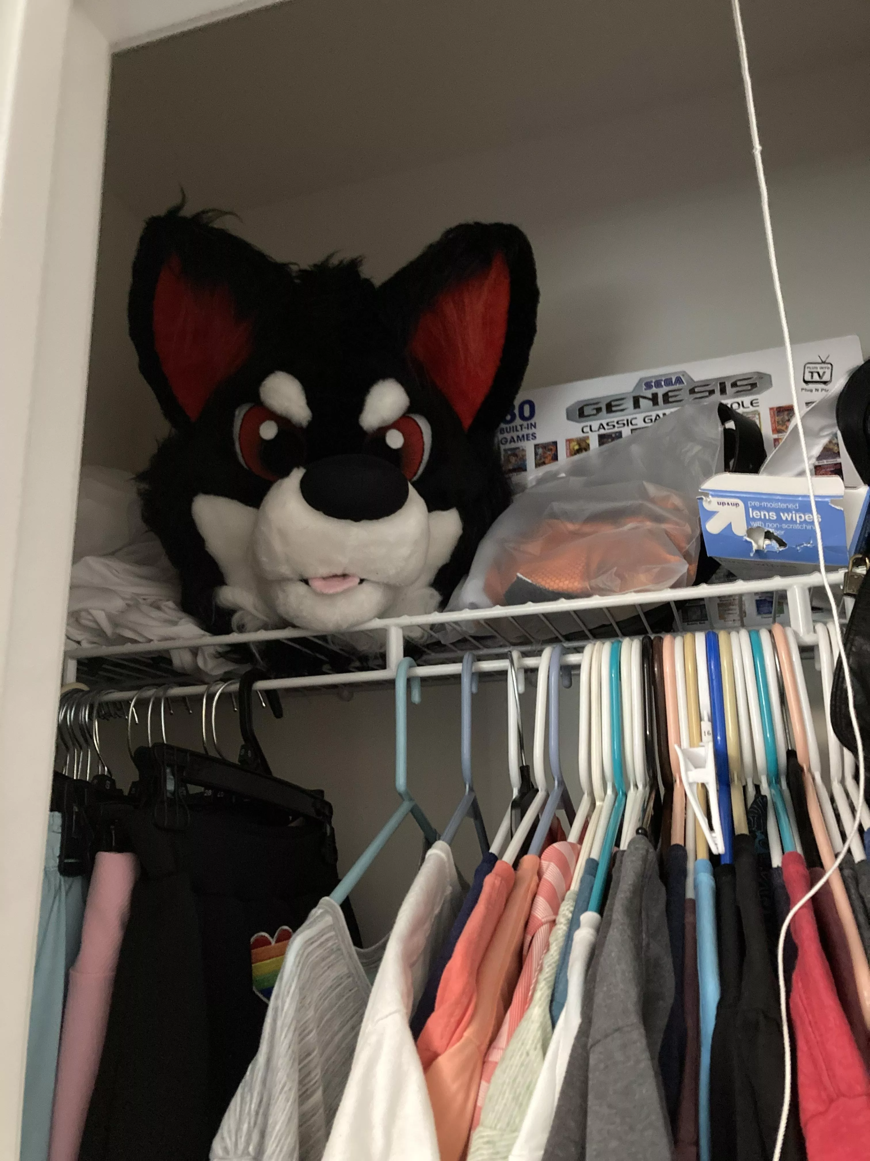 Best way to store a fursuit??? posted by Zachcraftone