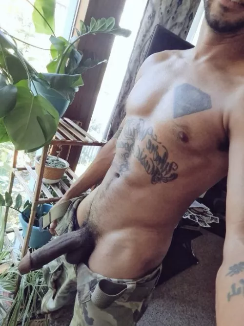 Just getting some light by Igottta_PHD