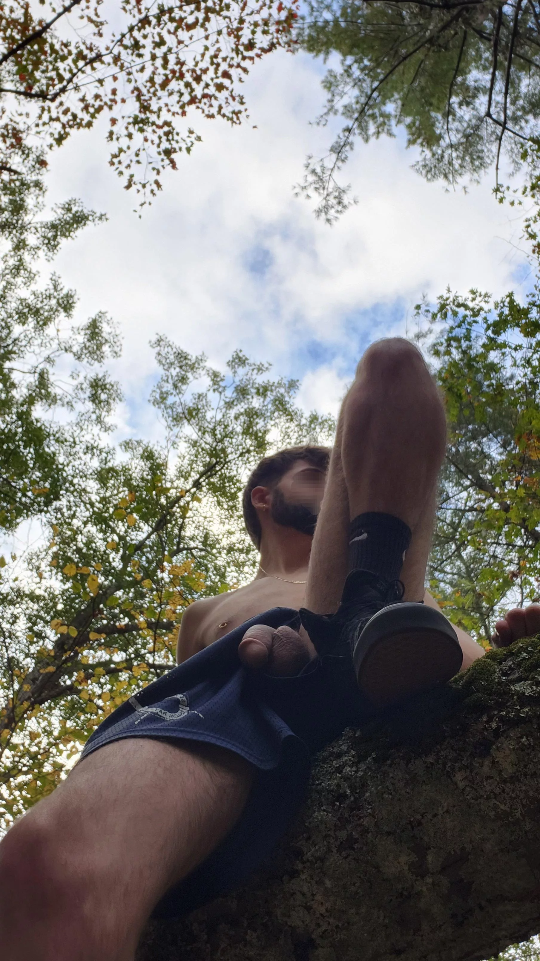 Meet me in the woods? 22 posted by sunofpan