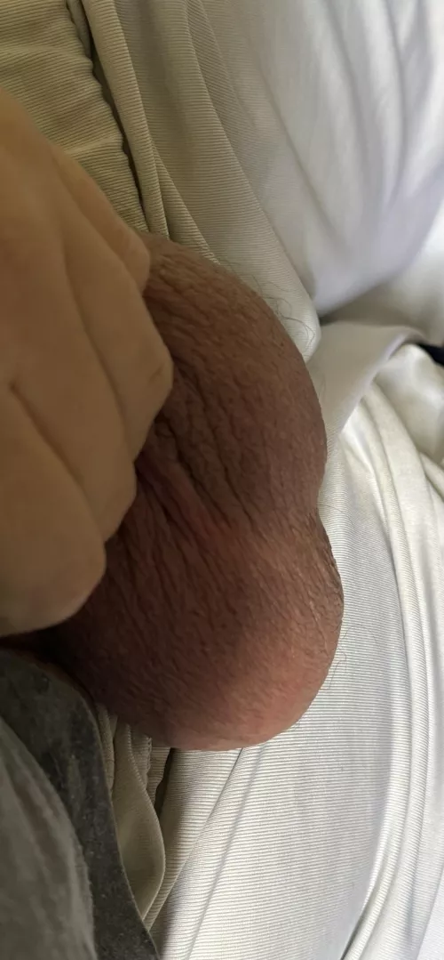 My hangers :) by LividElephant6537