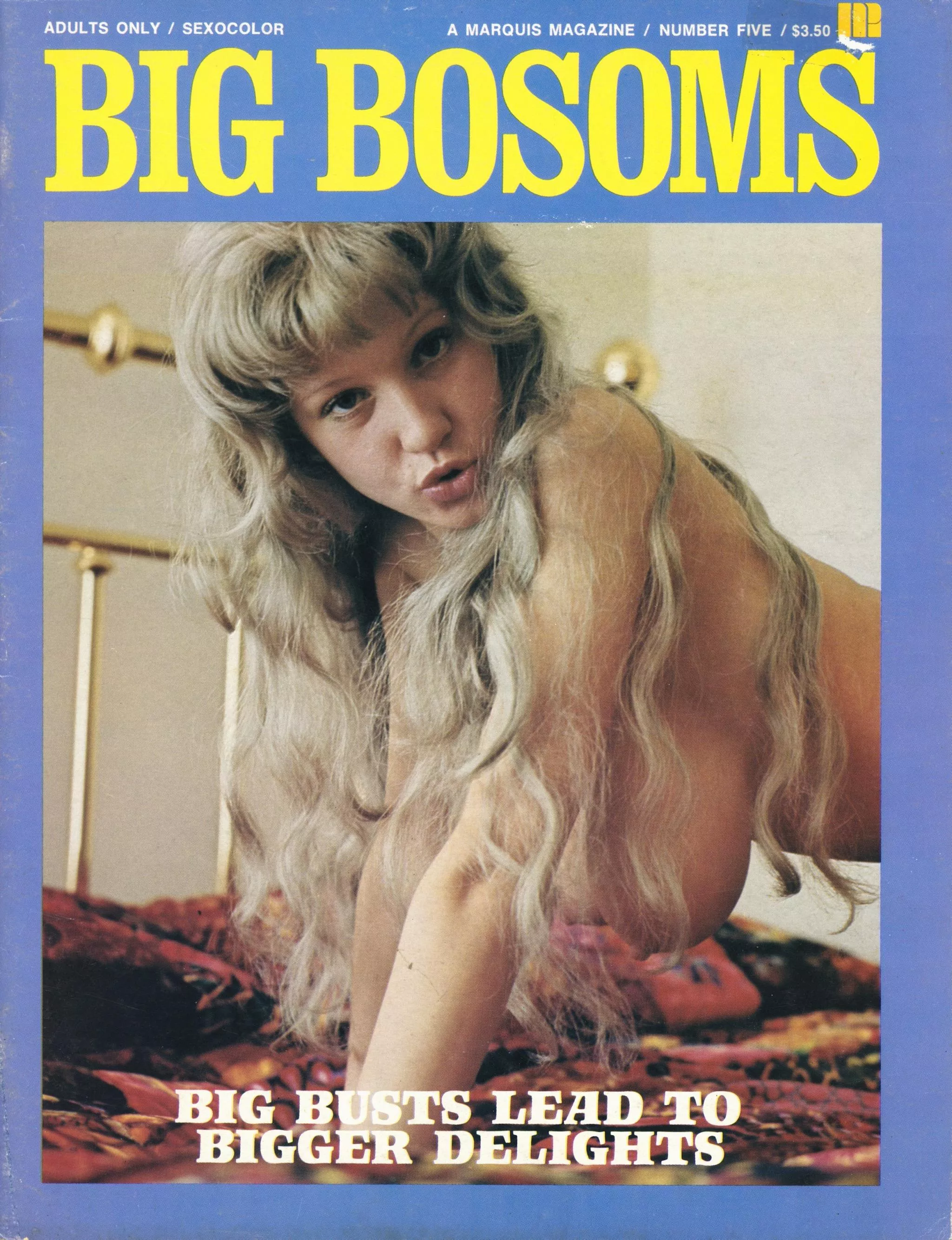 Roberta Pedon, Big Bosoms Magazine #5, 1974 posted by dreamon86