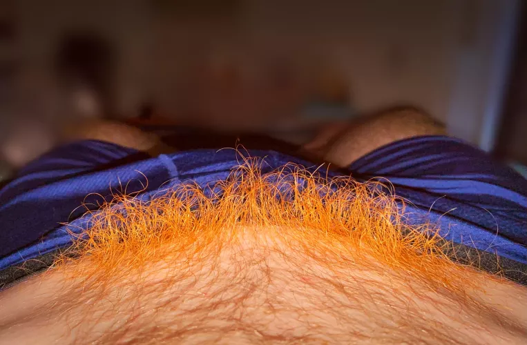 Some ginger spice for your weekend 🔥😜🔥 by JackFrostinAK