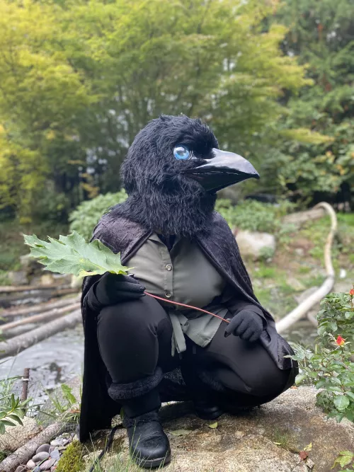 ~Big leaf! 🍃 Beautiful pond!~ (Photograph by my dearest, TheGalacticAngler) by TheCreepy_Corvid