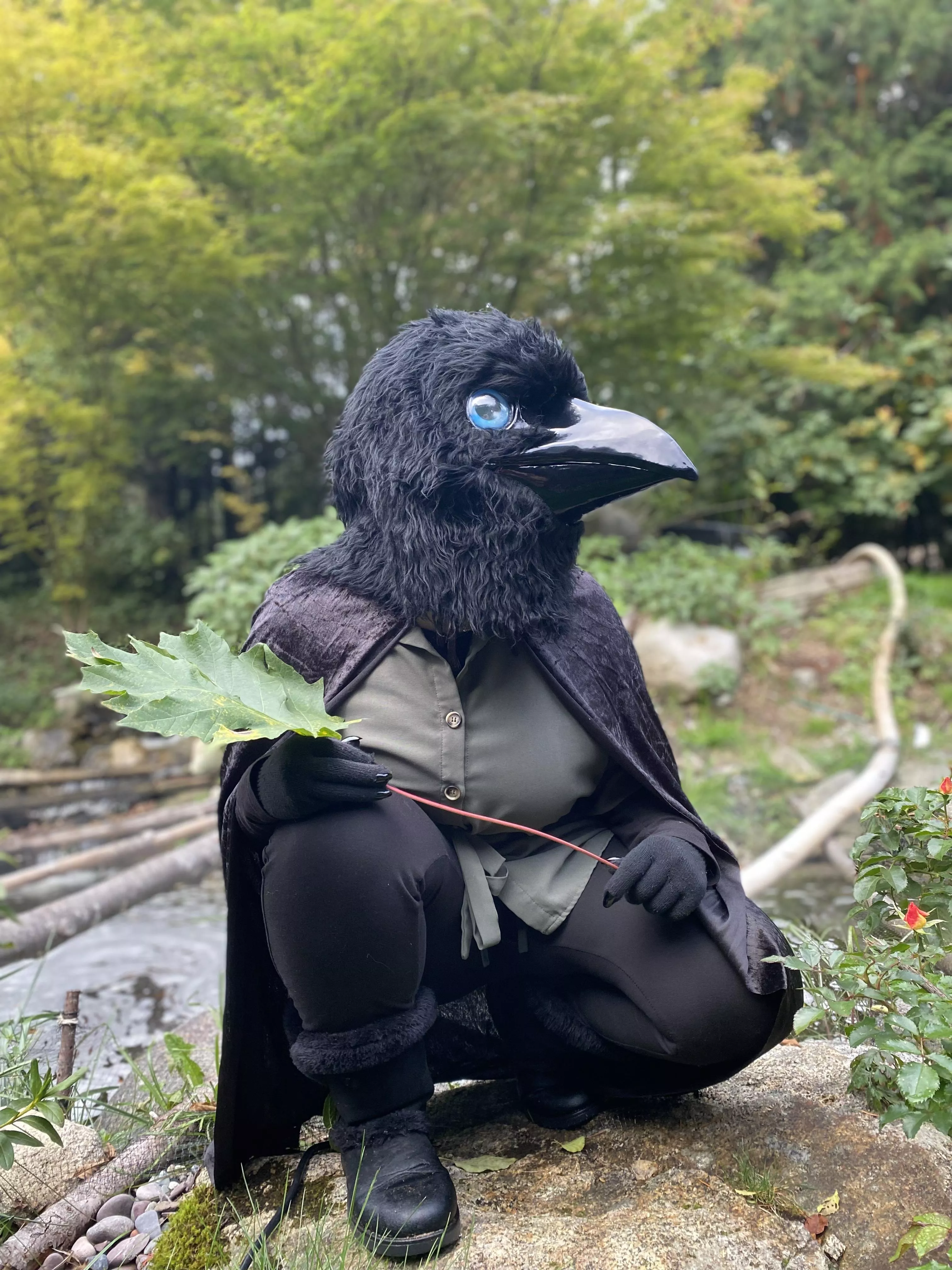 ~Big leaf! 🍃 Beautiful pond!~ (Photograph by my dearest, TheGalacticAngler) posted by TheCreepy_Corvid