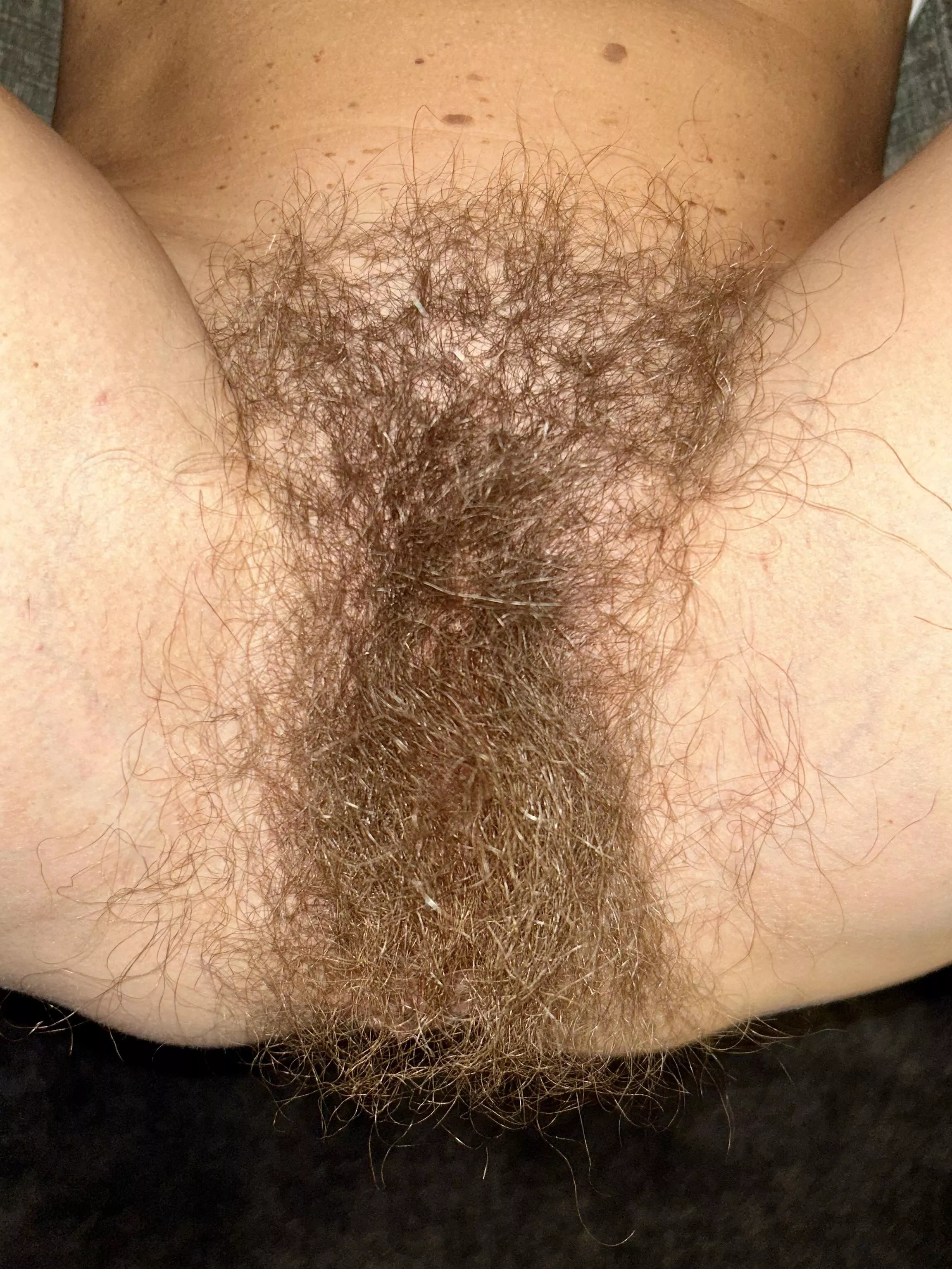 Don’t you wish your girlfriend was hairy like me? posted by hairybushsara
