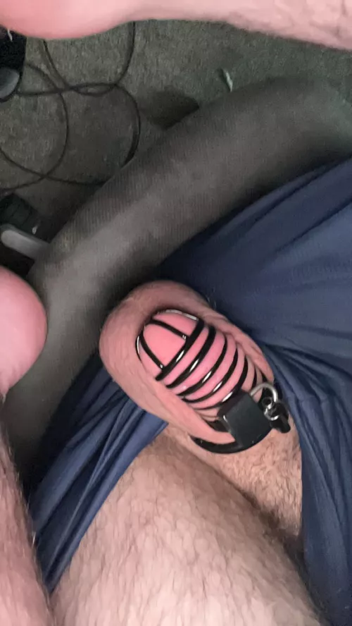 Girlfriend and her best friend both think I belong in chastity, do you guys agree? by Wooden_Beautiful1920