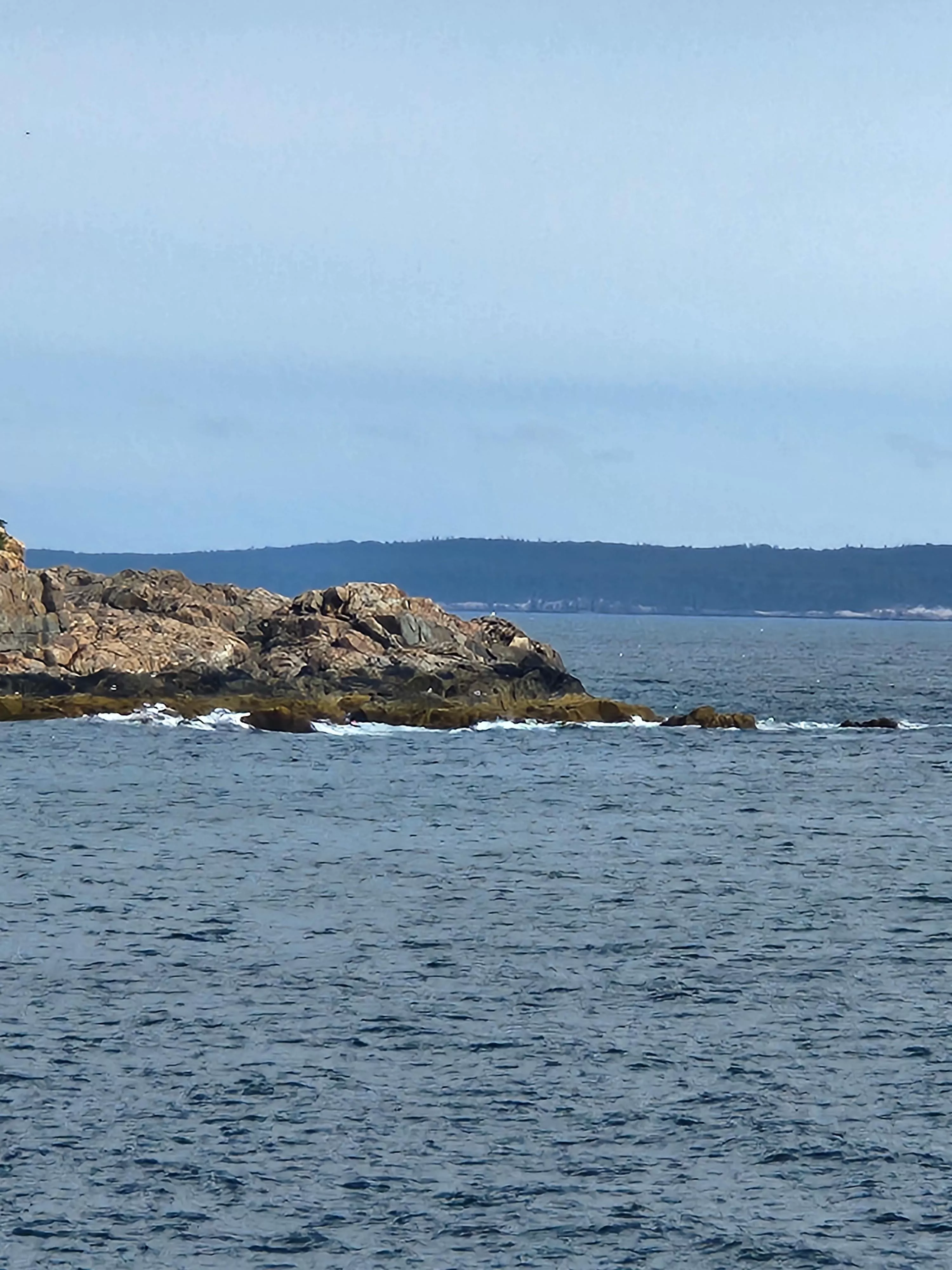 Good morning from Bar Harbor Maine posted by Intelligent-Cable-43