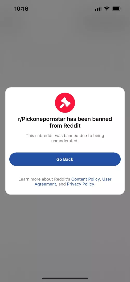 RIP r/PickOnePornstar. Had been messaging that mod for a while to get some things fixed by Kinkyfuck-