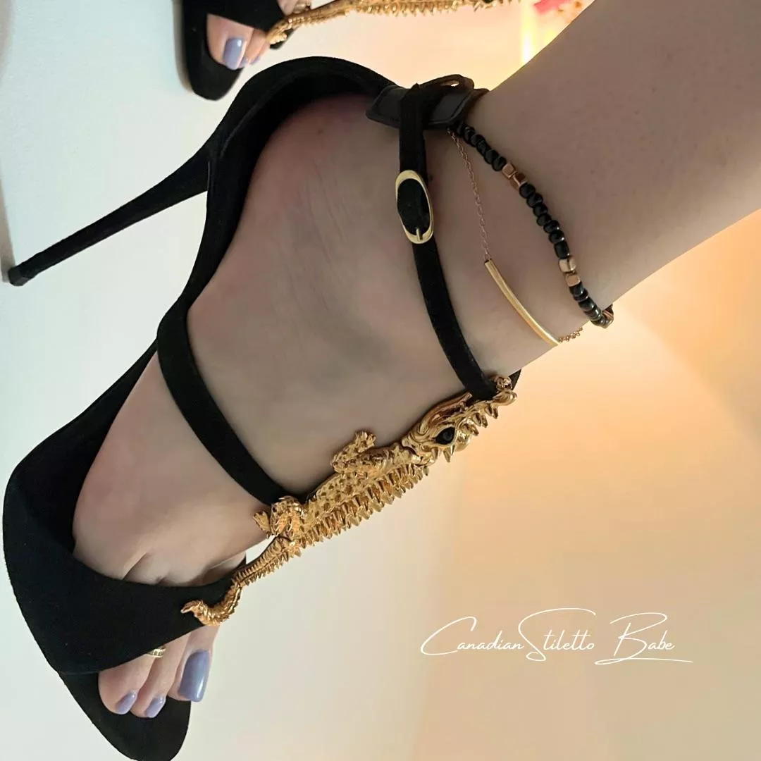 Season of the crocodile posted by CanadianStilettoBabe