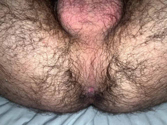 Who would eat this hairy hole out? by Deep_Background_4213