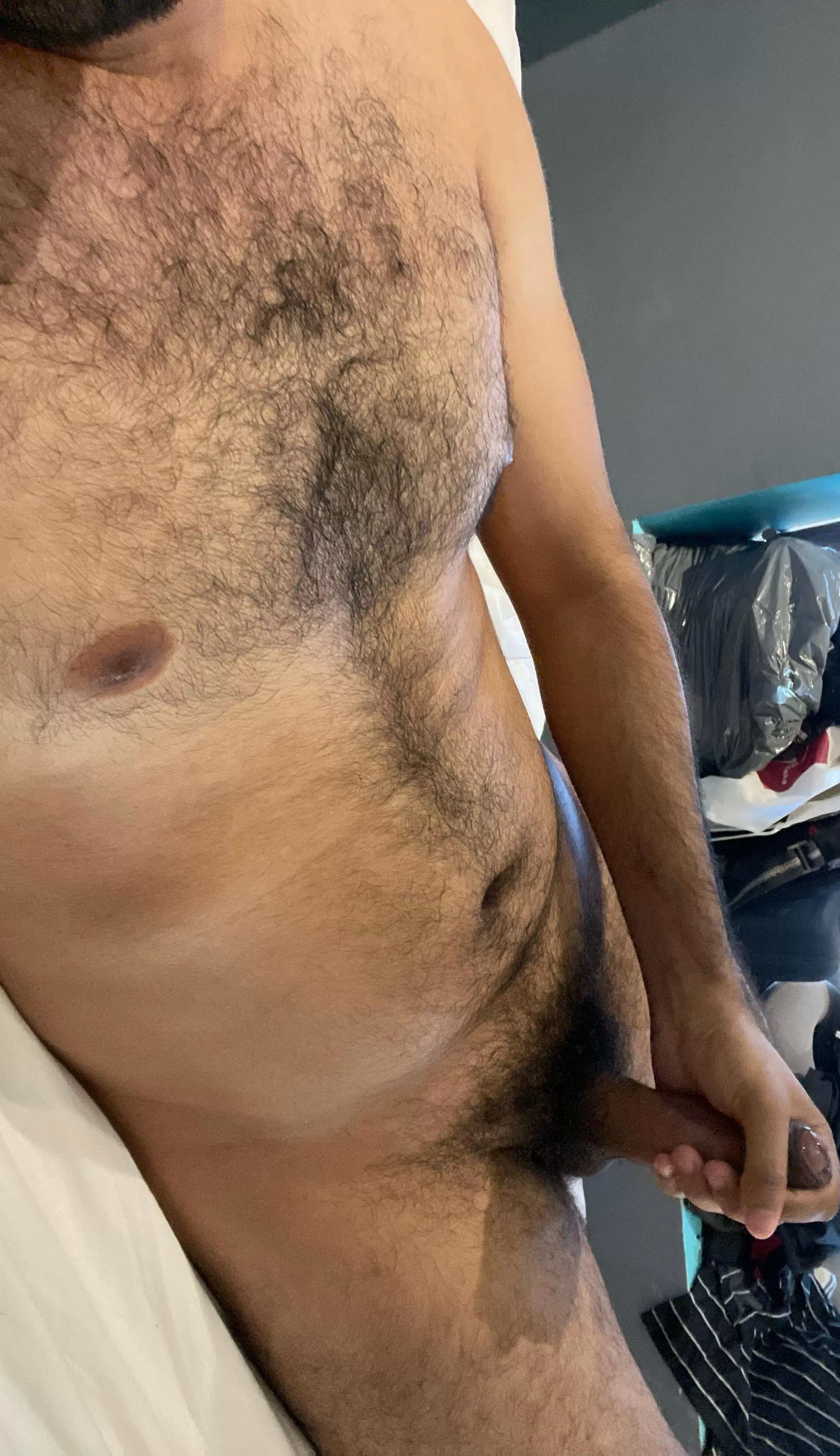 Your hairy neighbor posted by dudedck01