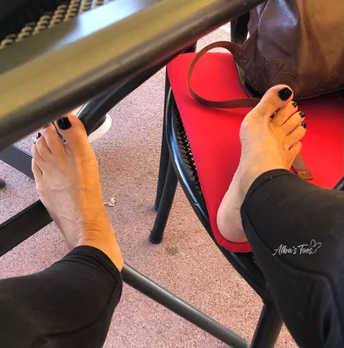 Catching the last rays of the warm sun by albastoes