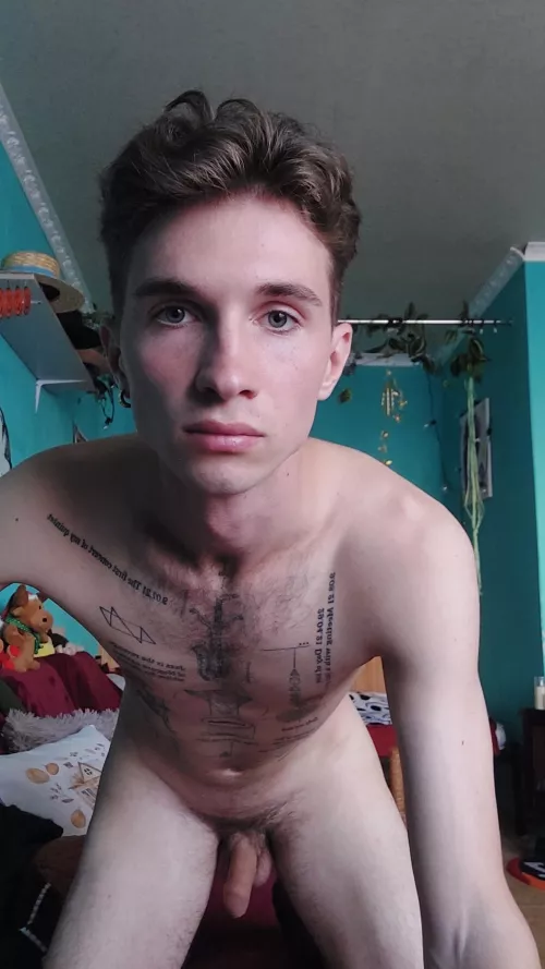 How are you going to celebrate Halloween? by tomssheffer