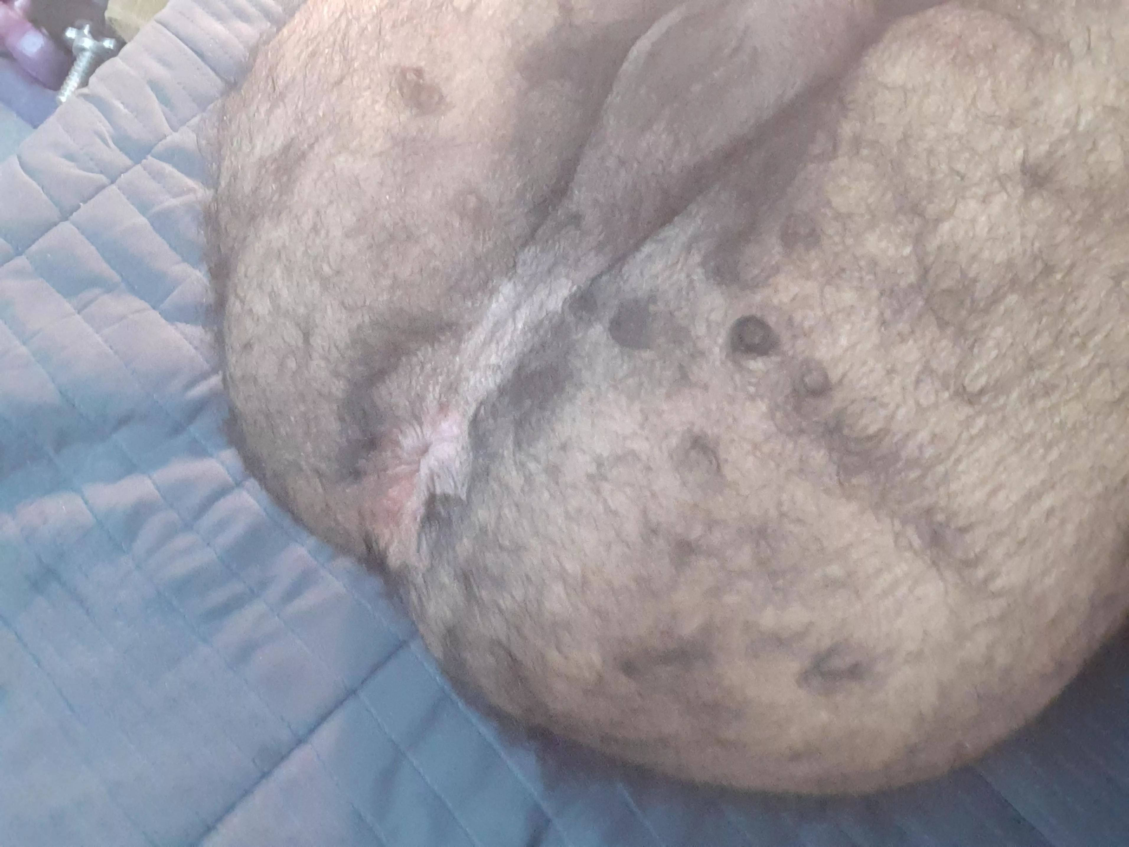 How many inches needs posted by hardboydk