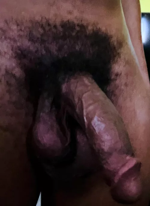 I’ve been told I’d look bigger if I shaved my pubes by Live_Buddy_1254