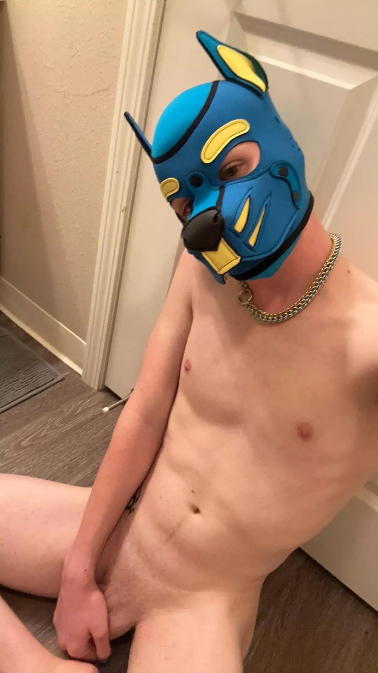 Puppy says Hewwo 🐾 posted by PupOri0n