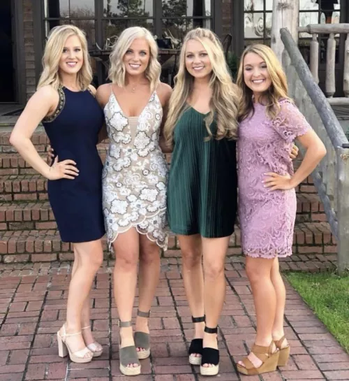 Rank em! by Material_Farm1895