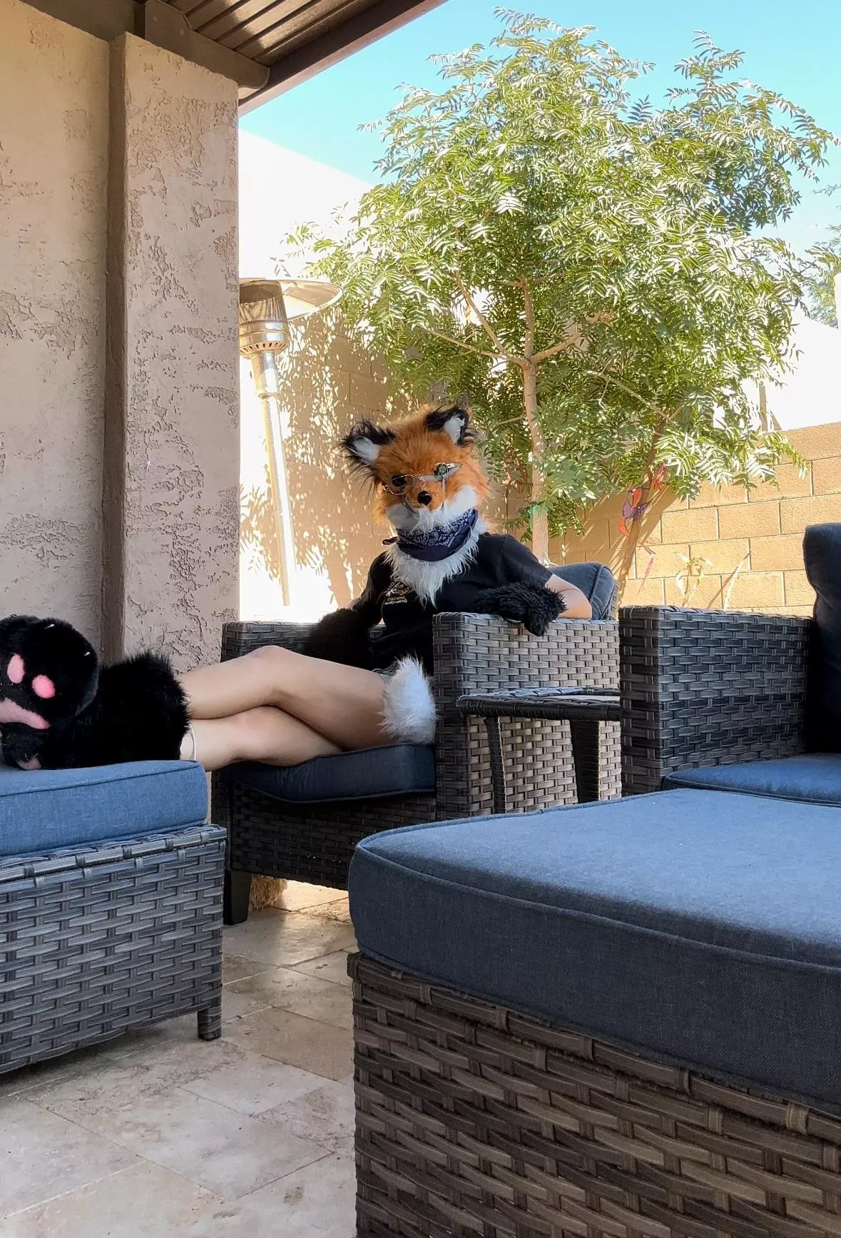 Welcome to the Fox Cave 🦊 posted by Ancient_Summer_1833