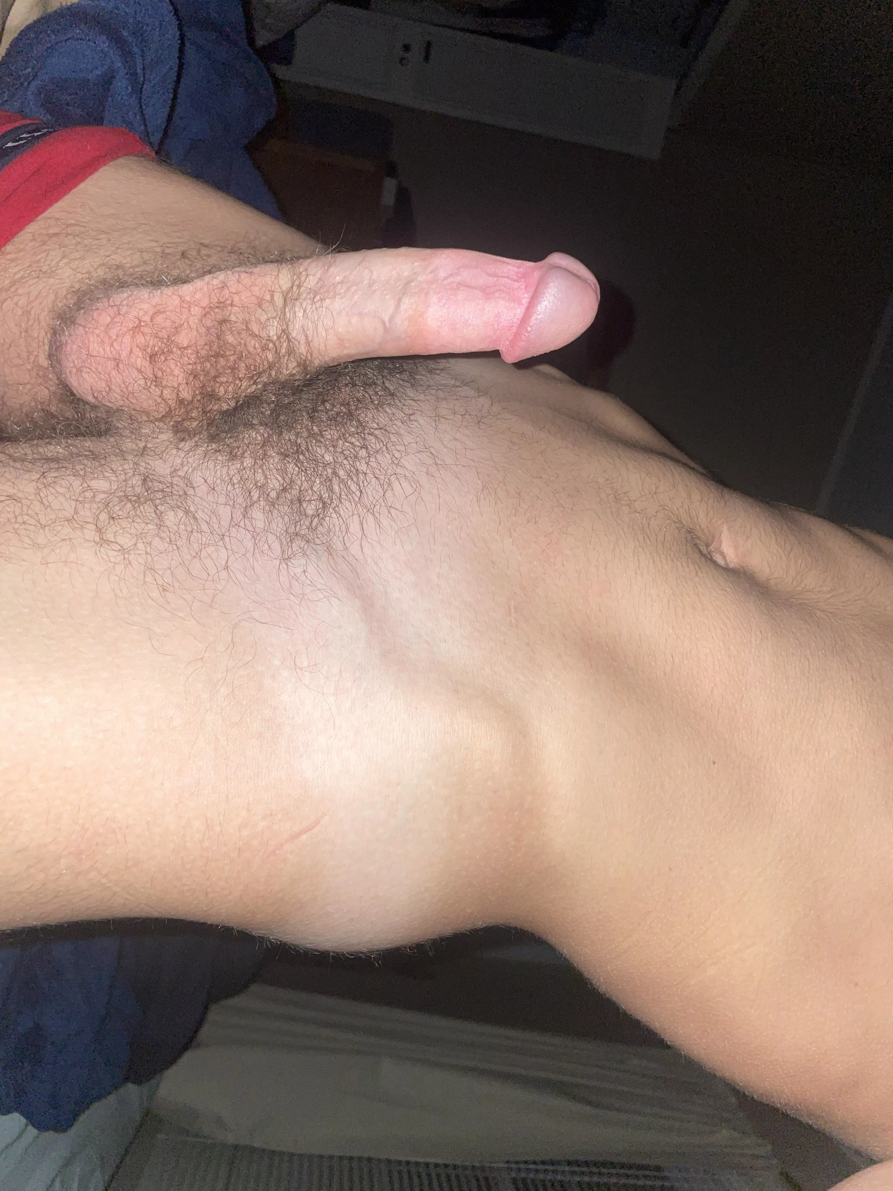 What would you do with me if you had your way posted by OkAcanthisitta8499