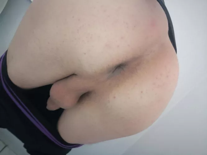 Who wants in? by Shimmydontis