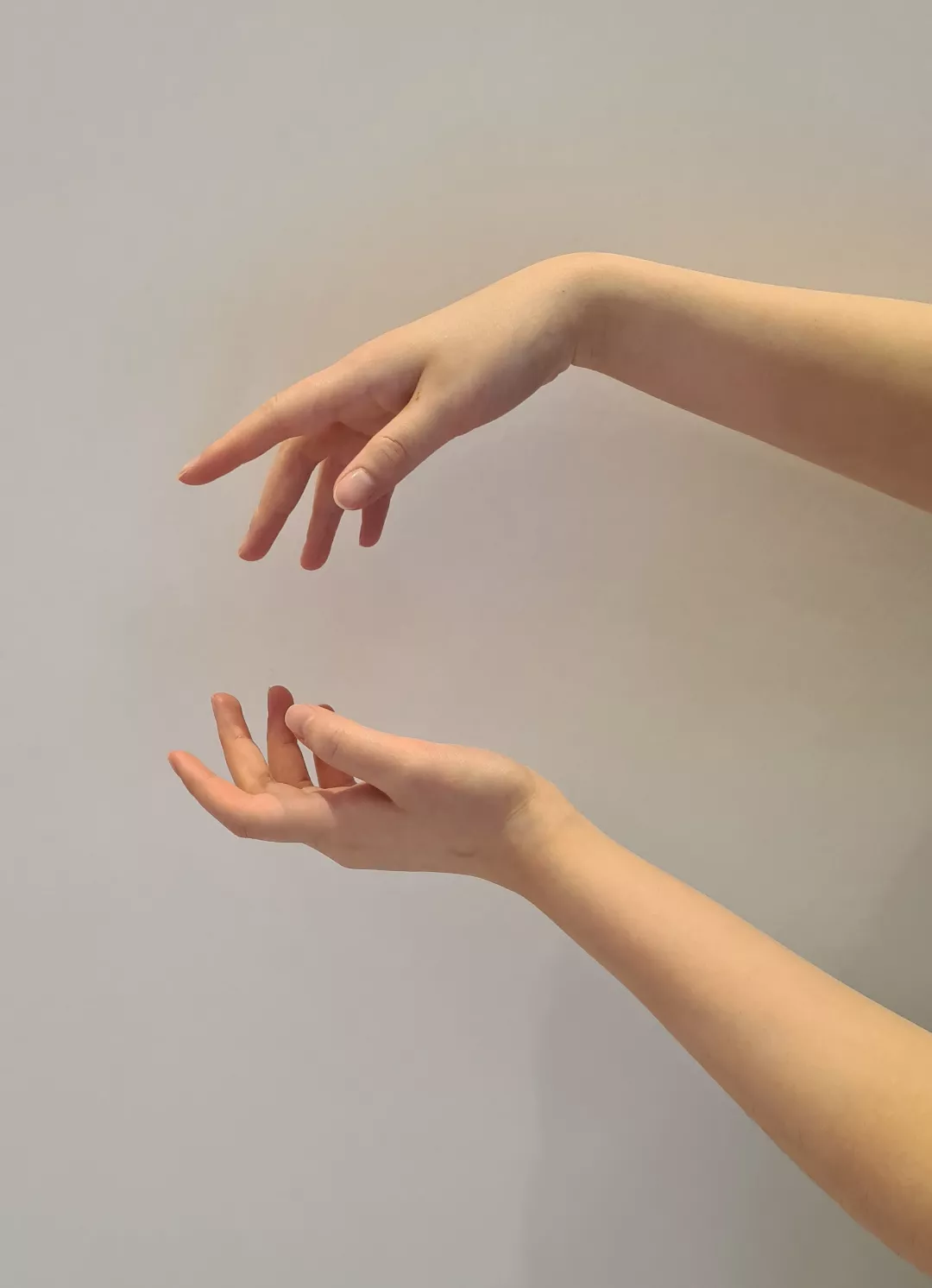 Dainty hands posted by tofupopping