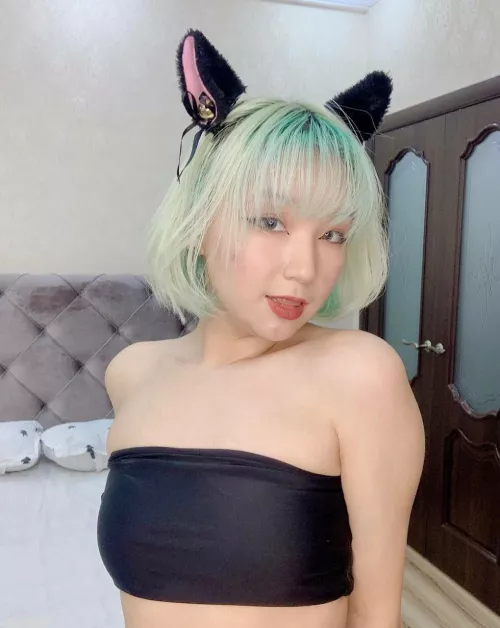 Do you want to tame an Asian cat? by Waste-Cup9907