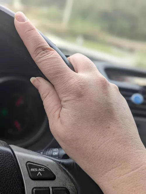 Driving to work. by undesirablemutt