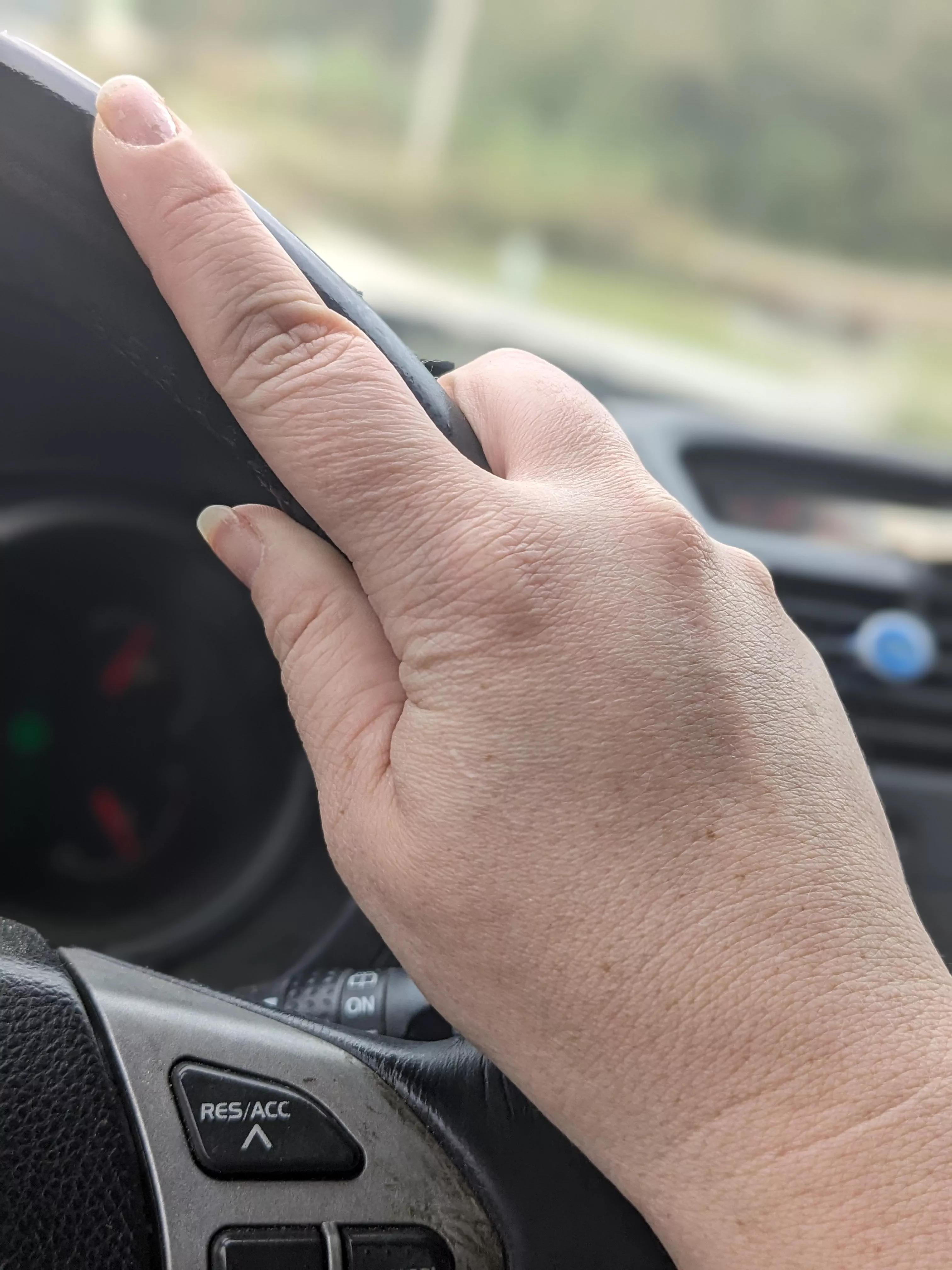 Driving to work. posted by undesirablemutt