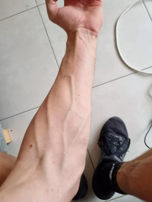Got told my forearms would be worth posting here by Adelaidesam3