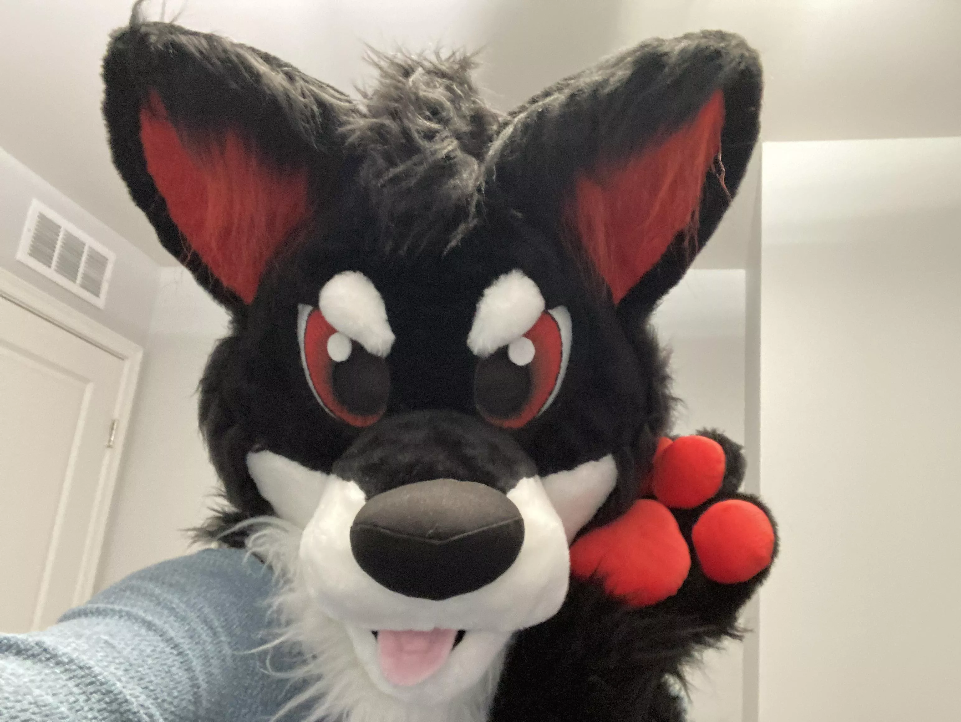 I tried to stream in my fursuit… it ended badly. posted by Zachcraftone