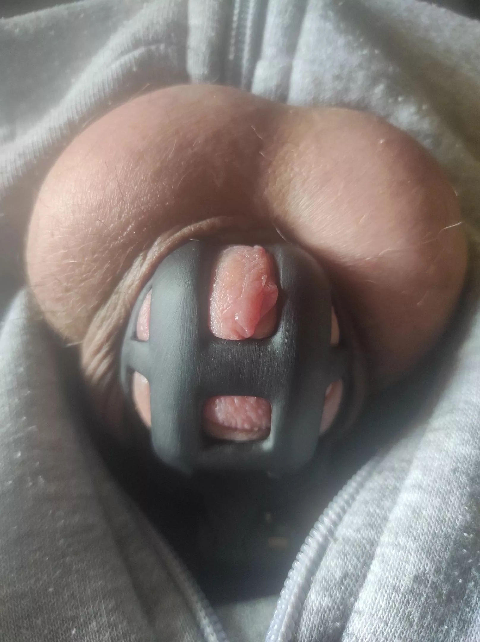 Little clitty in the cage posted by TicketProud3727