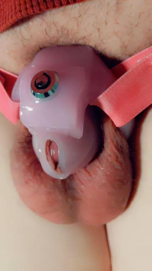 My smallest cage yet! Would you cover it in cum? by SissyChelci